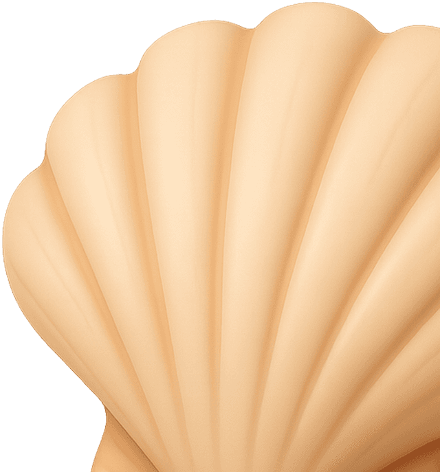 Shell icon
